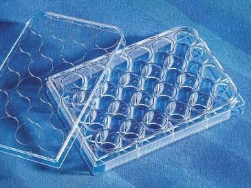 Corning Costar 24-Well Clear TC-Treated Multiple Well Plates 3524