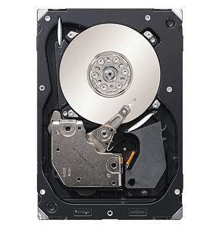 Seagate Cheetah ST3300056SS internal hard drive 300 GB 15000 RPM 3.5" SAS