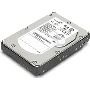 Lenovo ThinkServer 500GB internal hard drive 7200 RPM 2.5" Serial ATA