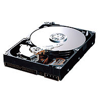 Samsung HD300LD internal hard drive 300 GB 7200 RPM 8 MB Ultra-ATA/100
