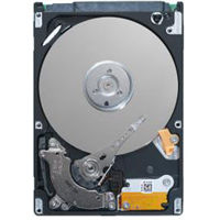 DELL 160 GB SATA II 3.5" internal hard drive 7200 RPM 3.5" Serial ATA II