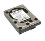 Lenovo ThinkServer 1TB 7.2K Cabled 3.5" SATA Hard drive internal hard drive
