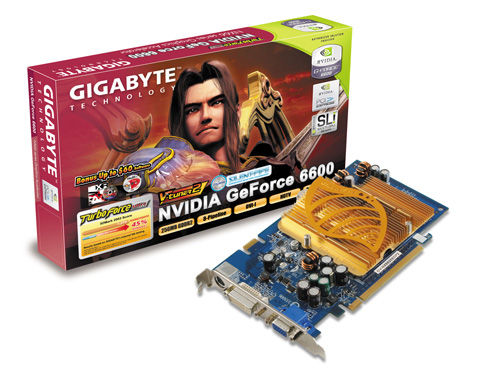 GIGABYTE GV-NX66256DP2 graphics card GDDR2