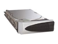 Iomega NAS P800 120GB H-Swap Drive
