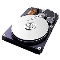 Samsung Spinpoint P 80GB Ultra-ATA/133 HDD, 20-Pk internal hard drive 7200 RPM 2 MB 3.5" Ultra-ATA/133