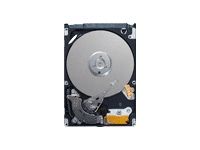 Seagate LD25.2 40GB internal hard drive 5400 RPM 2 MB 2.5" Serial ATA
