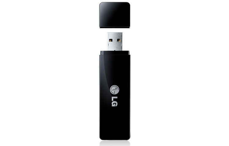 LG AN-WF100 network card WLAN