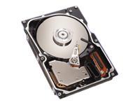 Seagate Cheetah 73.4GB HDD internal hard drive 10000 RPM 4 MB 3.5" Fibre Channel