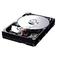Samsung Spinpoint T 300GB Serial ATA II HDD, 20-Pk internal hard drive 7200 RPM 8 MB