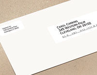 DYMO 30251 addressing label White