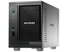 NETGEAR ReadyNAS Duo 0.25 GB