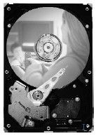 Seagate Desktop HDD DB35 7200.2 300GB Ultra ATA 100 internal hard drive 7200 RPM 8 MB 3.5" Ultra-ATA/100