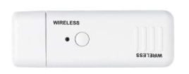 NEC NP02LM2 WLAN 300 Mbit/s