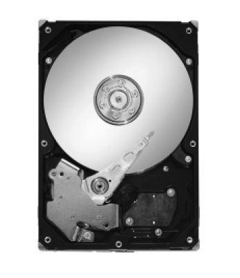 Seagate Desktop HDD Barracuda ES 320GB, 7200rpm, SATA-II internal hard drive 16 MB 3.5" Serial ATA II
