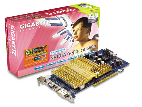 GIGABYTE GV-N66256DP graphics card NVIDIA GDDR