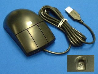 HP 573077-001 mouse Office USB Type-A Optical