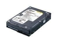 Buffalo Replacement 500GB Drive for DriveStation Duo 1.0TB internal hard drive 7200 RPM 8 MB 3.5" Serial ATA