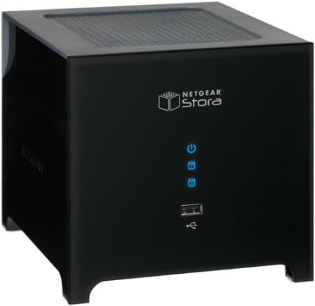 NETGEAR MS2000 0.25 GB