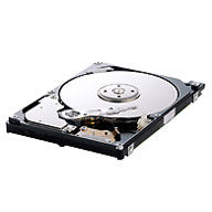 Samsung Spinpoint M 160GB HDD internal hard drive 5400 RPM 8 MB 2.5" Serial ATA