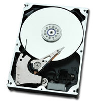 Fujitsu DX8090 S2 HD internal hard drive 300 GB 15000 RPM 3.5" SAS