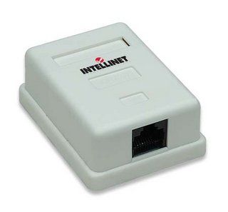 Intellinet 210881 wall plate/switch cover