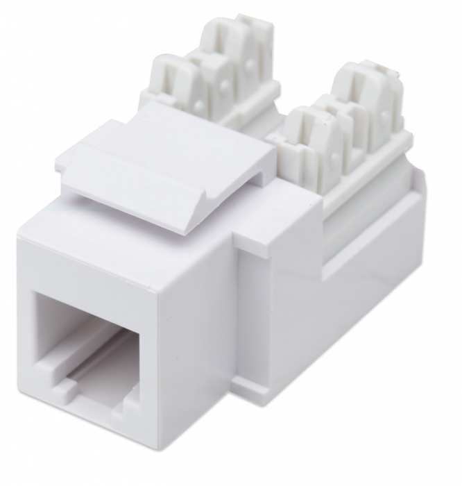 Intellinet 210843 keystone module