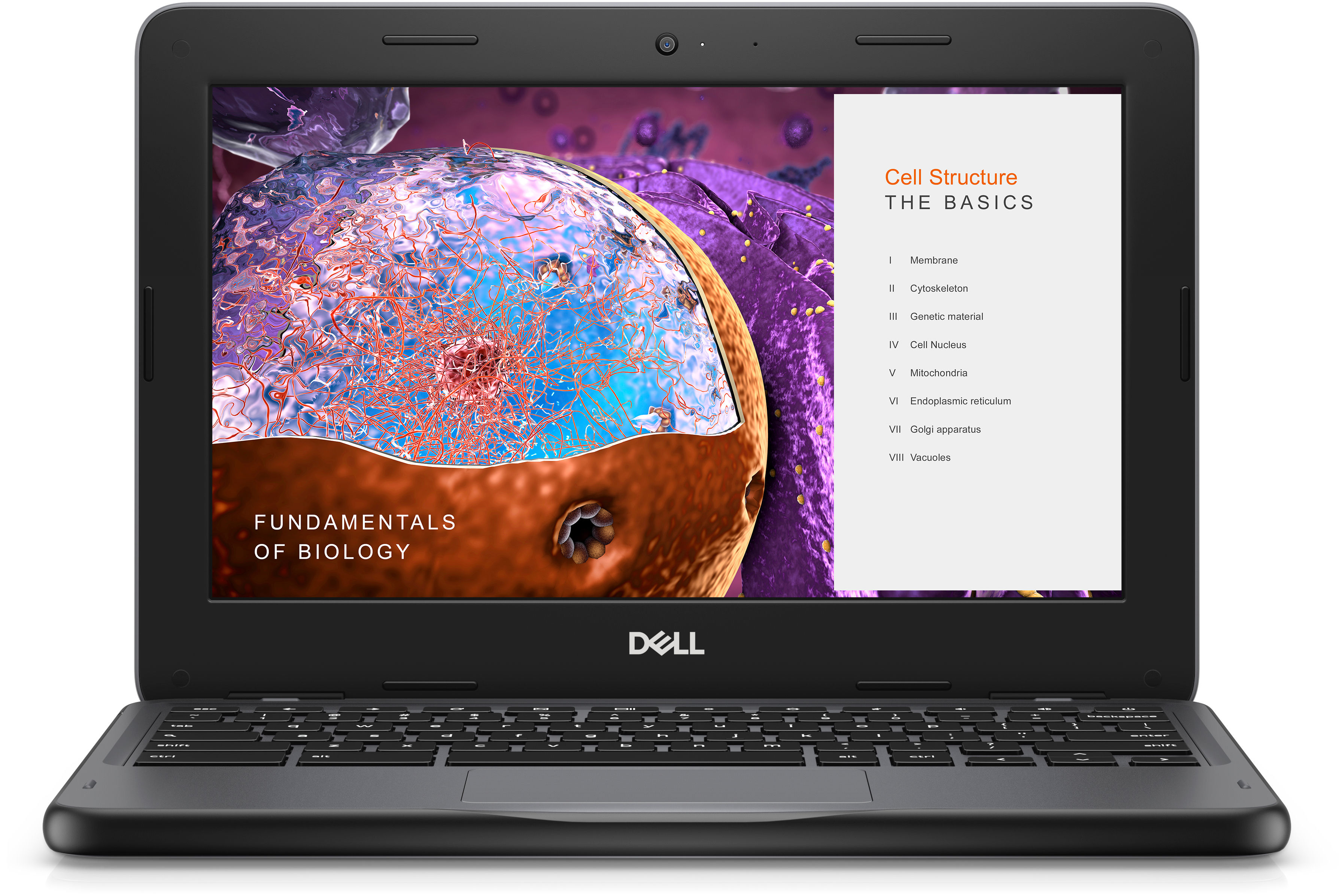 DELL Chromebook 3110 Intel® Celeron® N N4500 29.5 cm (11.6") Touchscreen HD 8 GB LPDDR4x-SDRAM 64 GB eMMC Wi-Fi 6 (802.11ax) ChromeOS US English Black