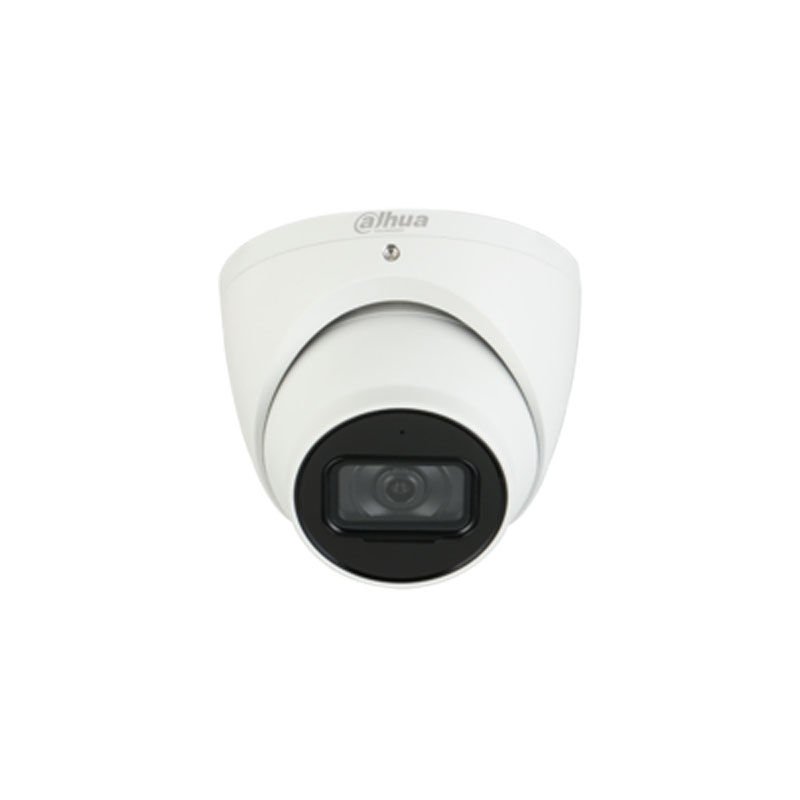 HDW5442TM-AS, Dahua 4MP WDR IR Eyeball AI Network Camera, 4MP, WDR, IR 50m