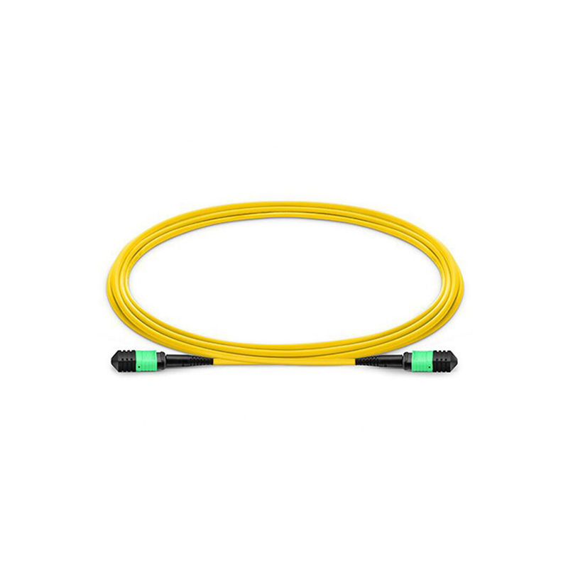 AMPOF-1M-AMPOF-G.652D-12C-3R-A-L, Neutral AMPOF Series Fiber Patch Cord, MPO/APC Female-MPO/APC Female/1M/G.652D/12 Cores