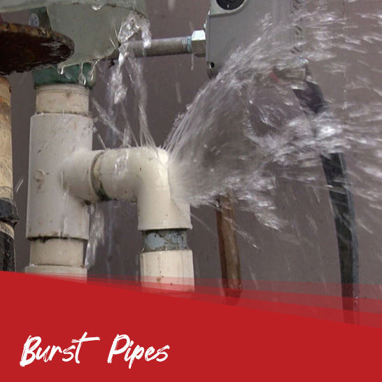 Drainage Plumber Burst Pipe Rosanna