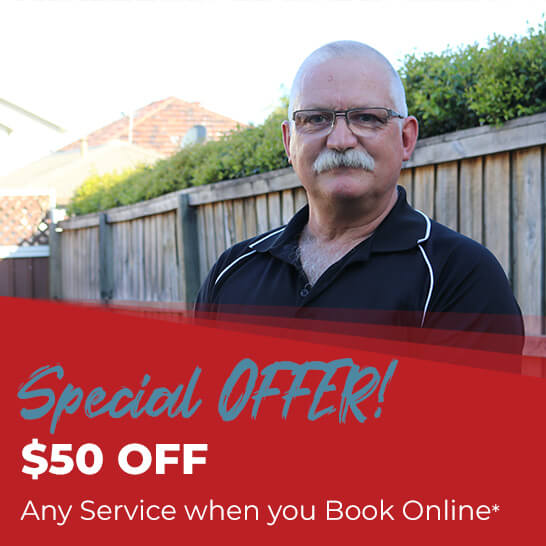 Special Deals $50 Off Special