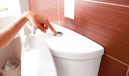 Different Types Of Toilet Flush Systems