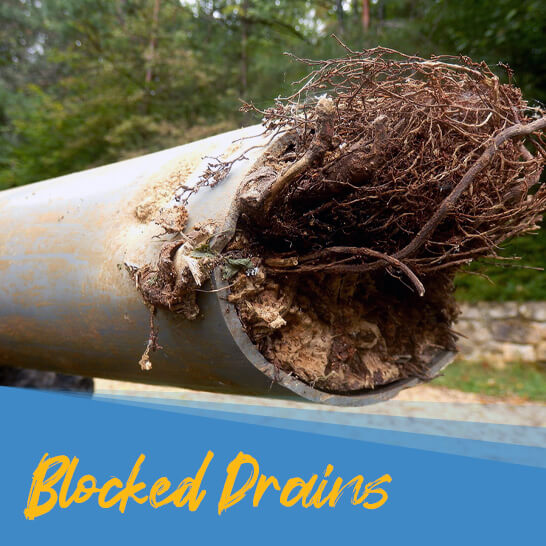 Blocked Drain Plumbing