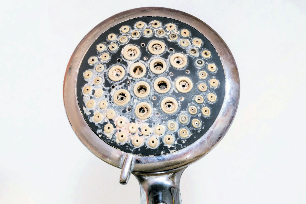 Dirty Shower Head Needing Cleaned