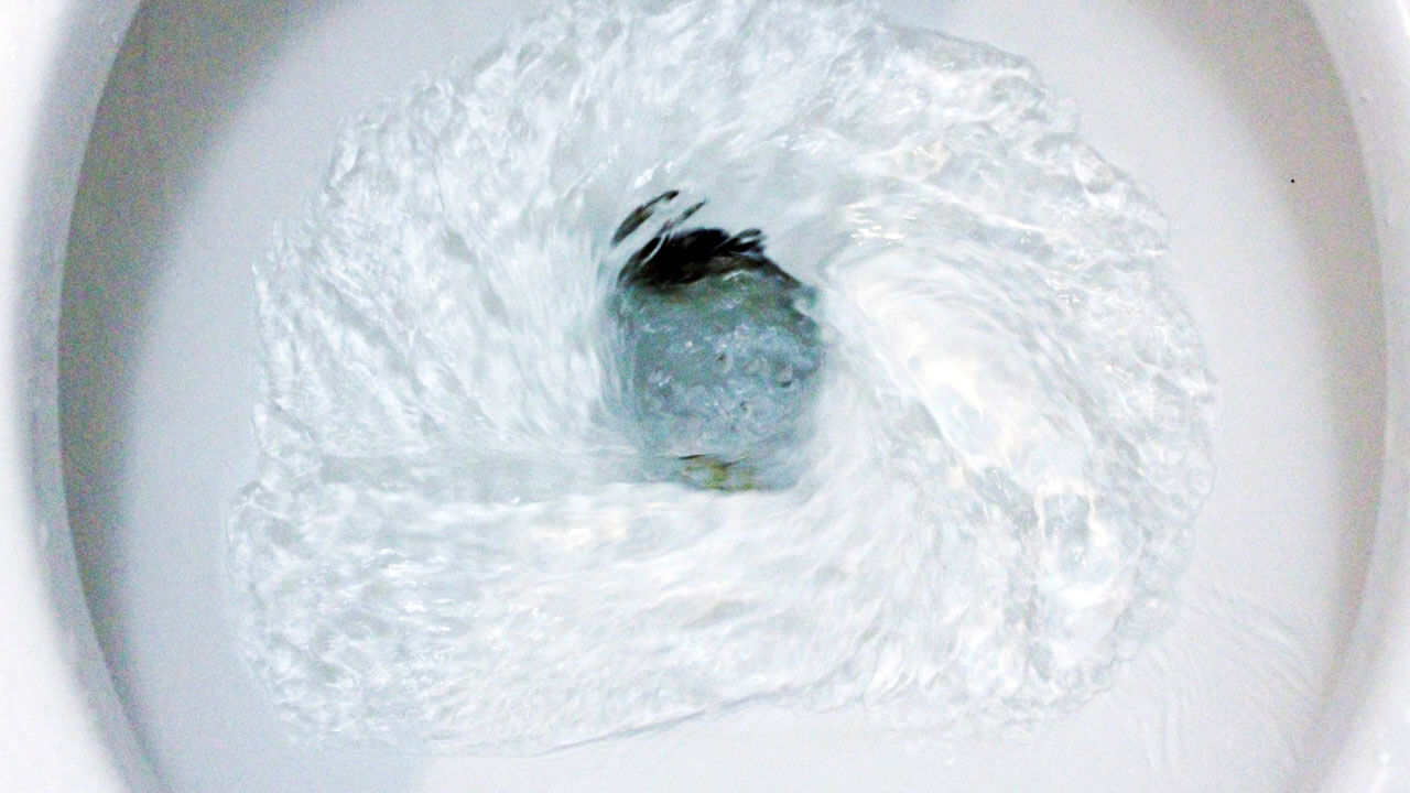 Different Types Of Toilet Flush Systems Lucid Plumbing