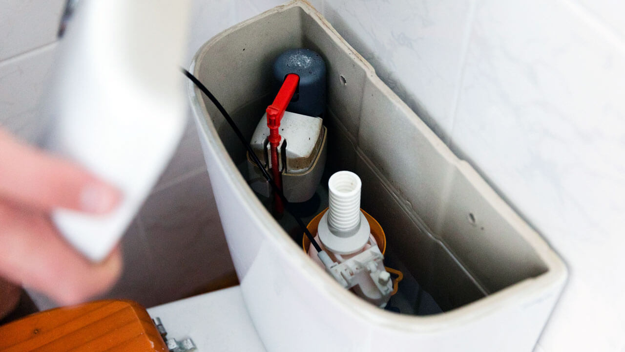 Different Types Of Toilet Flush Systems Lucid Plumbing