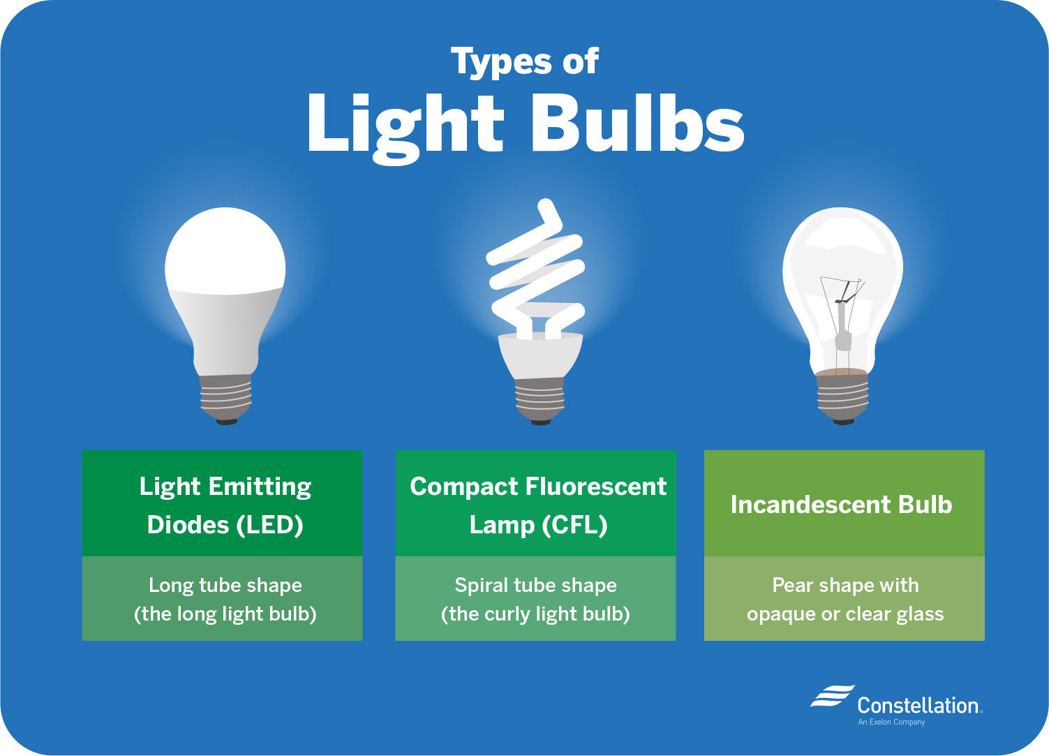 Types Of Light Bulbs Infographic