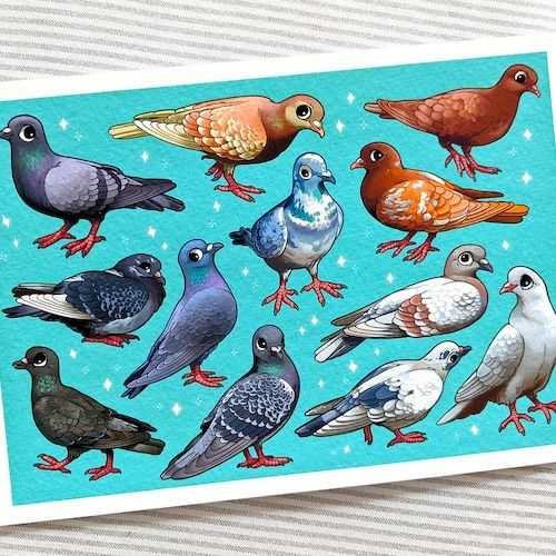 Pigeons Of The City A5 Fine Art Print / Bird Illustration / – Etsy Canada For 2017 Pigeon Wall Art (Gallery 7 of 20)