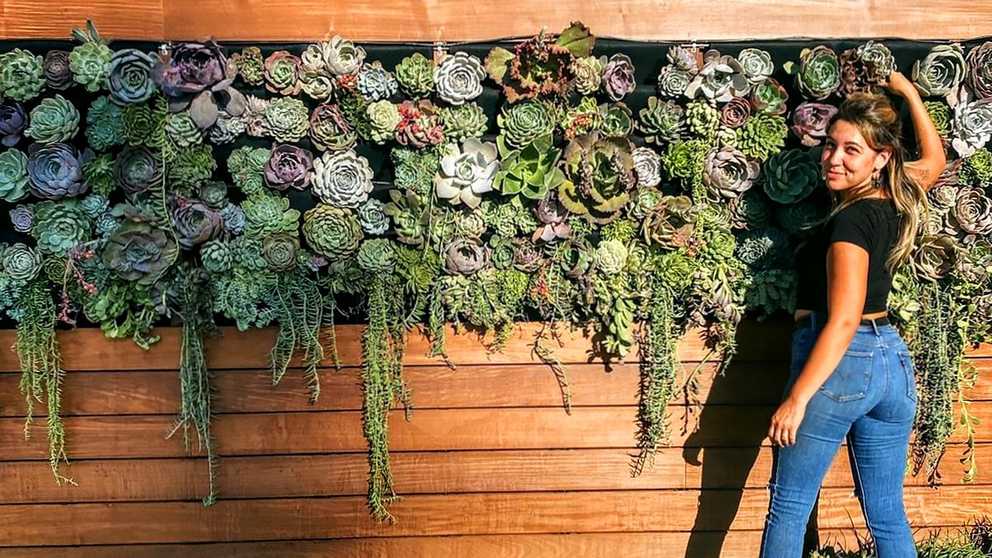 Succulent Masterpieceangelica Cook For M On High Street Restaurant In  Moorpark, California — Florafelt Living Wall Systems Inside 2018 California Living Wall Art (Gallery 3 of 20)