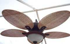 Outdoor Ceiling Fans with Hook