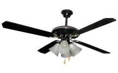 Outdoor Ceiling Fans at Menards