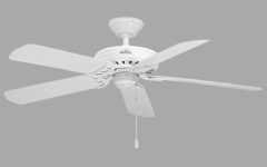 Hunter Outdoor Ceiling Fans with White Lights