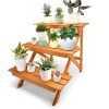 Deluxe Plant Stands (Photo 8 of 15)