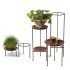 Iron Plant Stands