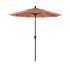 Wallach Market Sunbrella Umbrellas