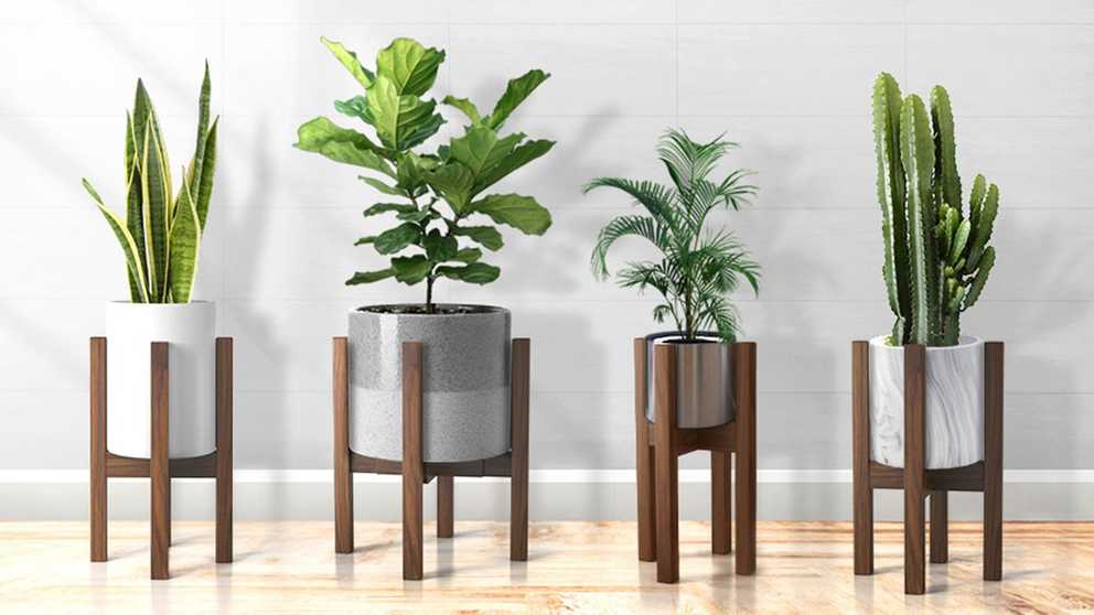 Current Pedestal Plant Stands In The 8 Best Plant Stands For Every Style (Gallery 14 of 15)