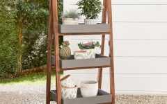 The Best Three-tier Plant Stands