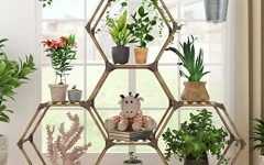 Hexagon Plant Stands