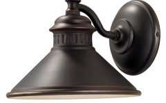 Dark Sky Outdoor Wall Lighting