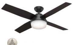 Black Outdoor Ceiling Fans with Light